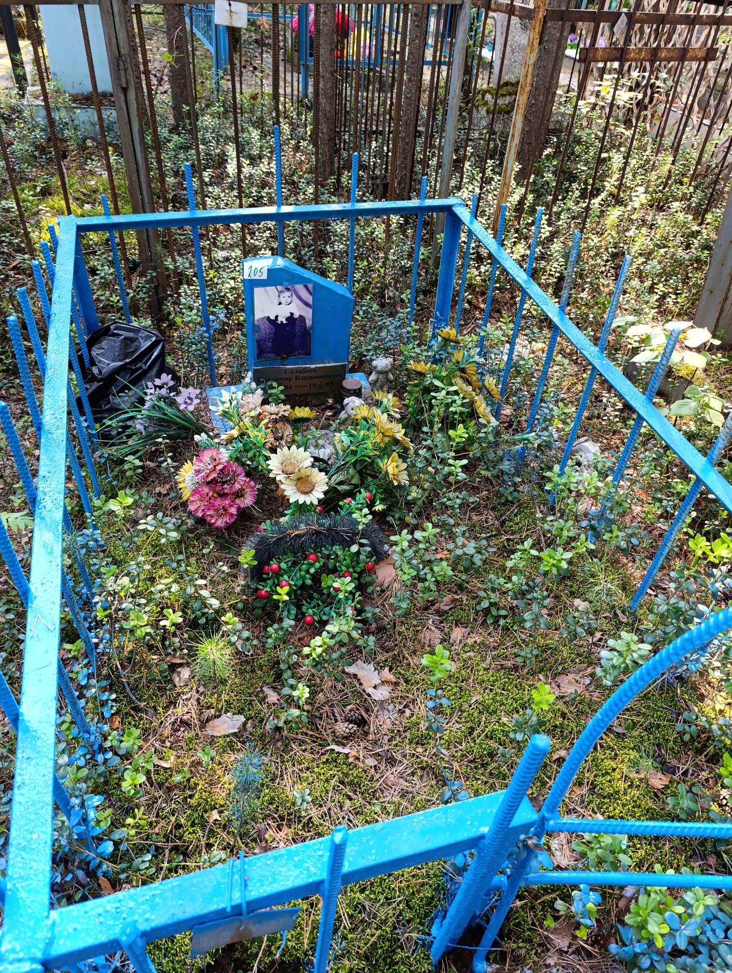 Салабеев Владимир Владимирович