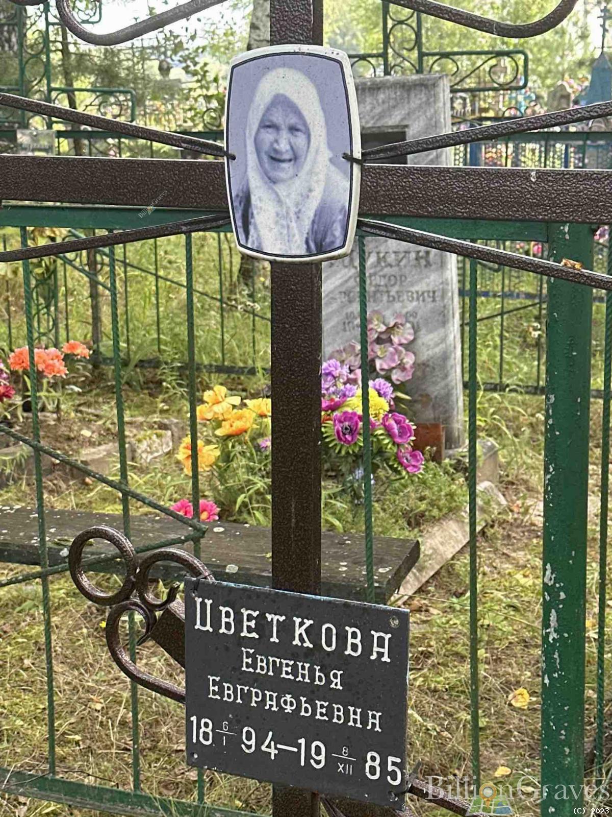 Цветкова Евгенья Евгафовна