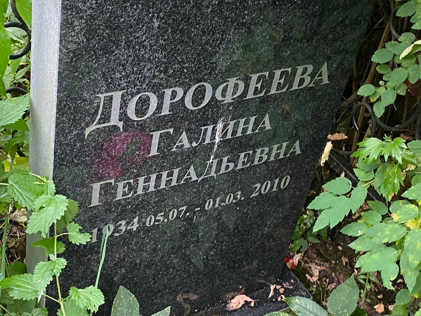Дорофеева