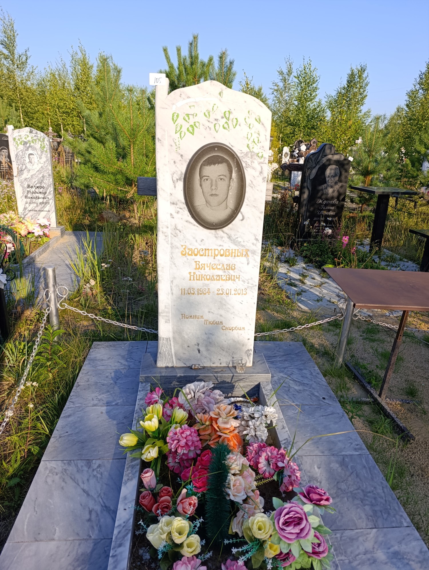 Заостровных Вячеслав Николаевич