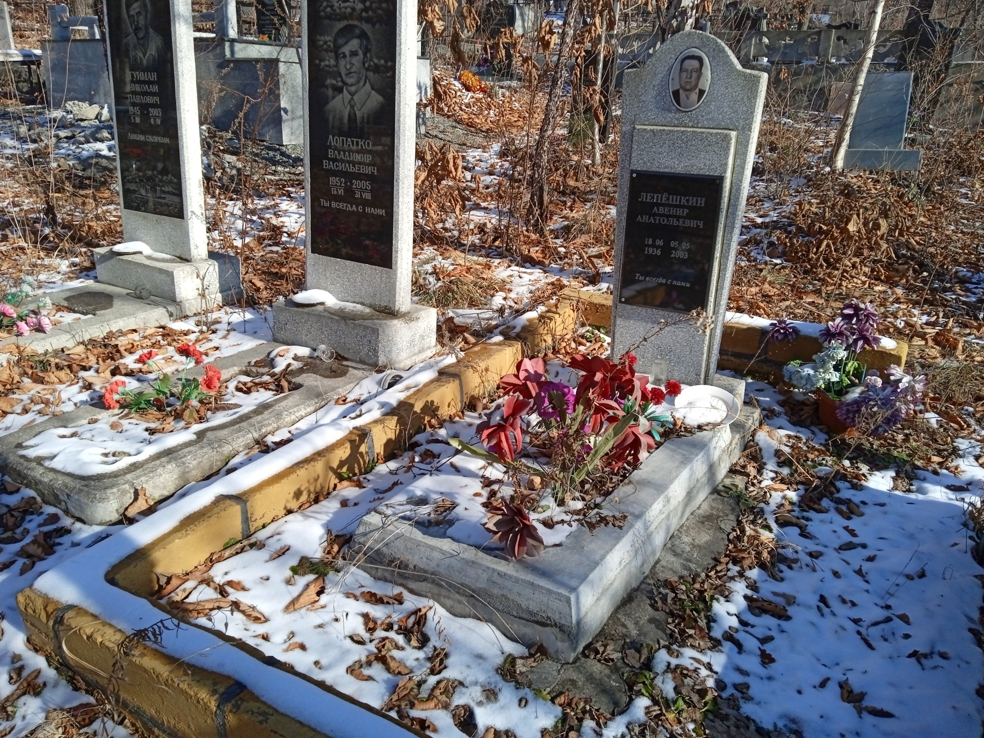 Лепешкин Авенир Анатольевич