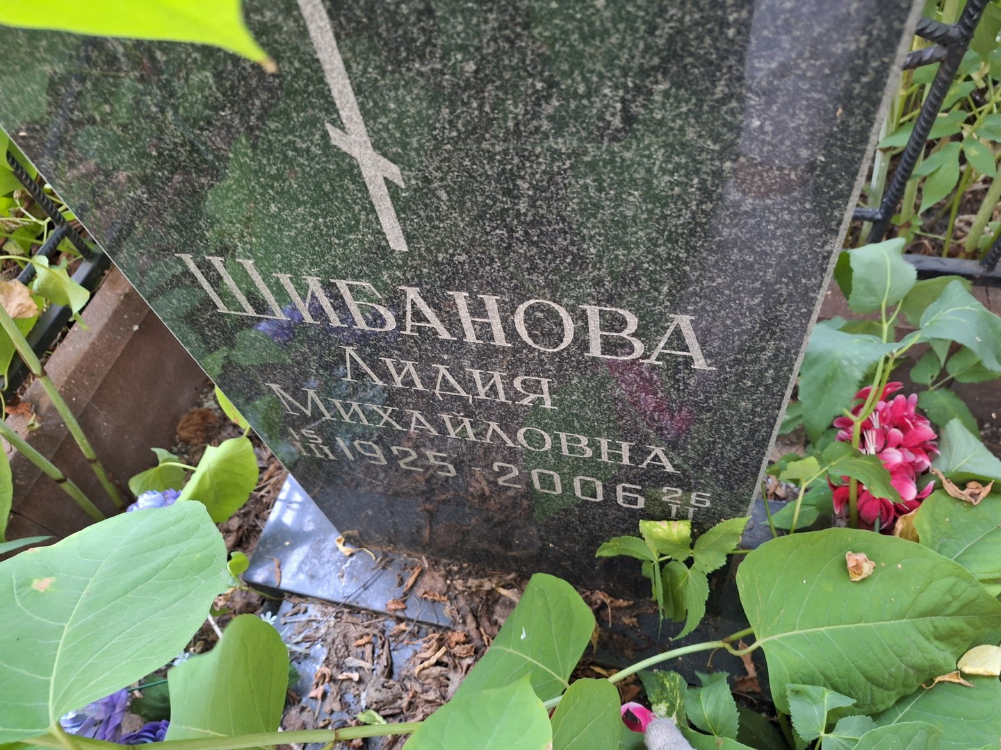 Шибанова
