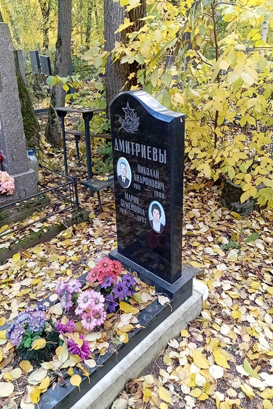 Дмитриев Николай Андронович