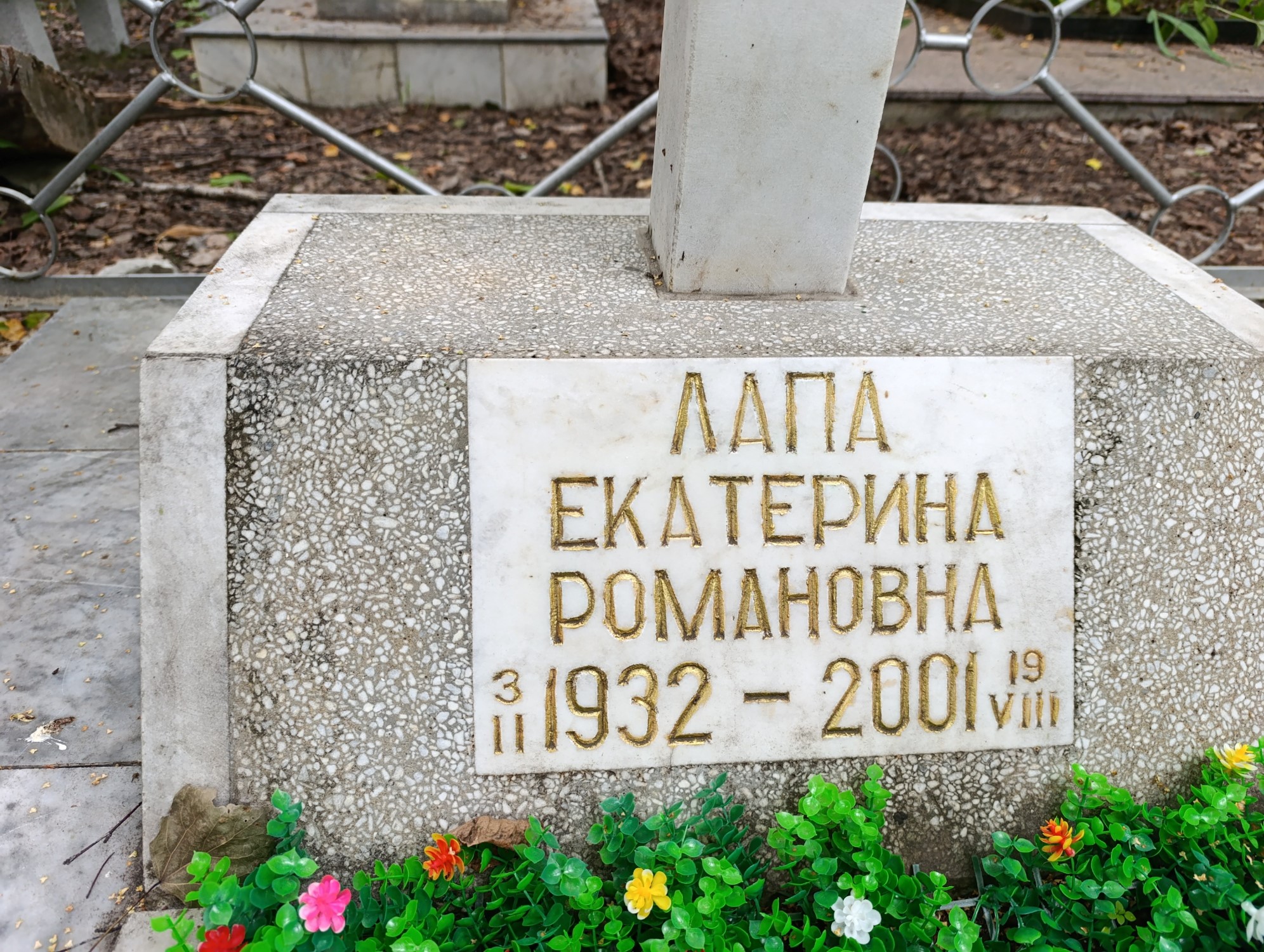 Лапа Екатерина Романовна