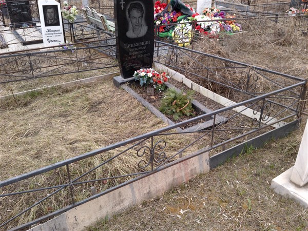 Пиньженин Александр Борисович
