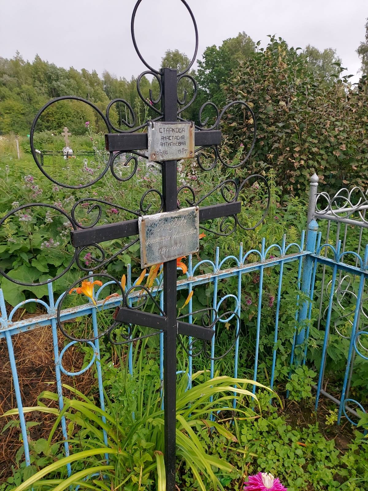 Старкова Анастасия Антипьевна
