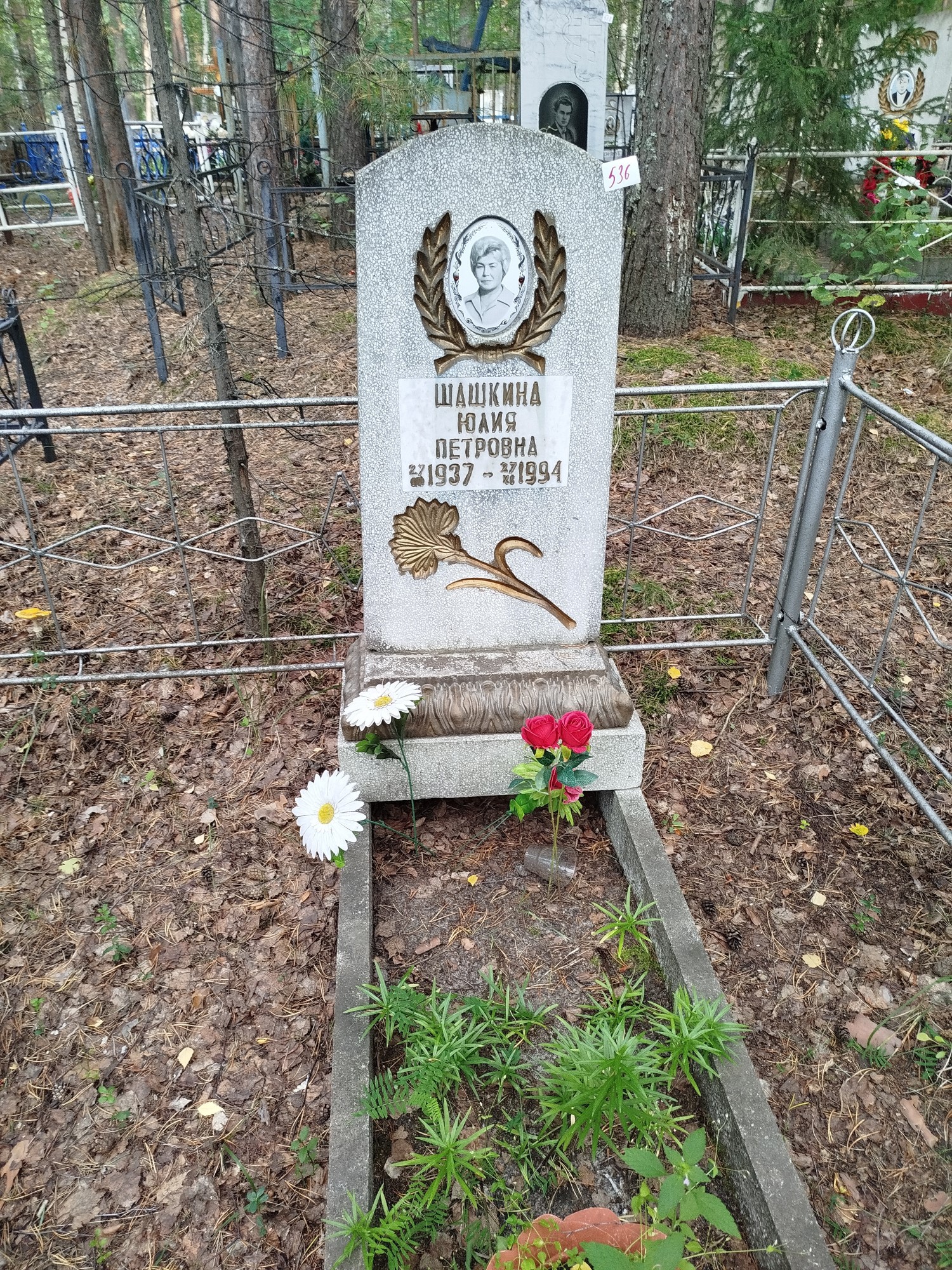 Шашкина Юлия Петровна