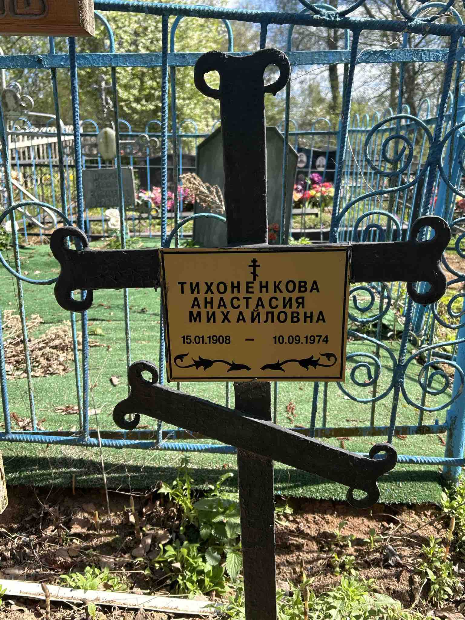 Тихоненкова Анастасия Михайловна