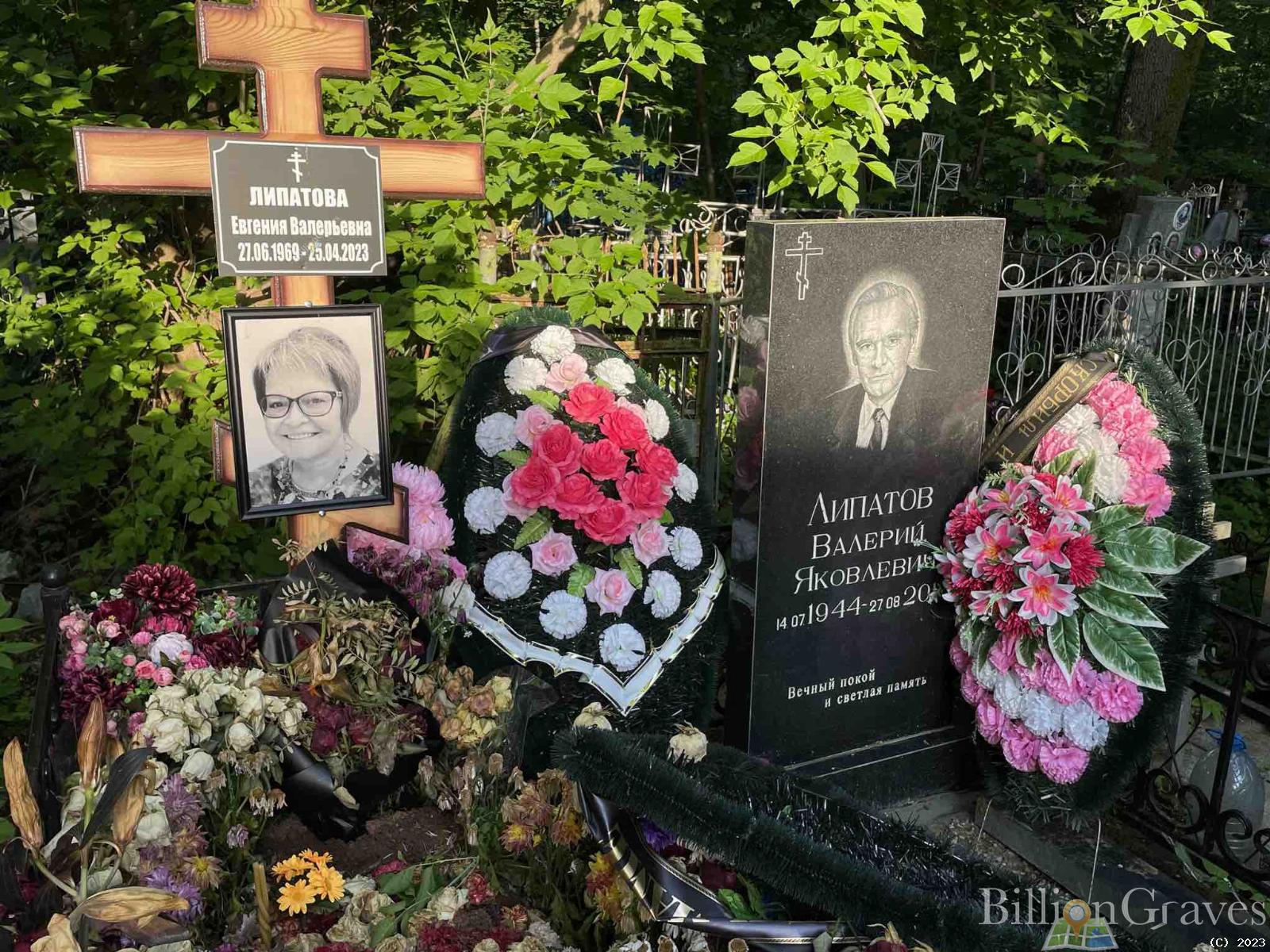 Липатова Евгения Валерьевна