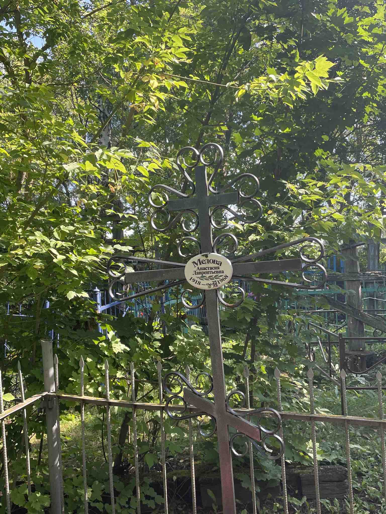 Медова Анастасия Лаврентьевна