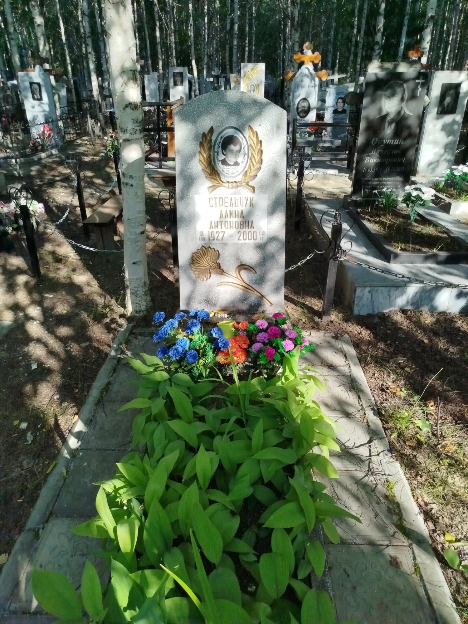 Стрельчук Алина Антоновна
