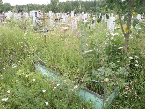 Паньшин Аркадий Иванович