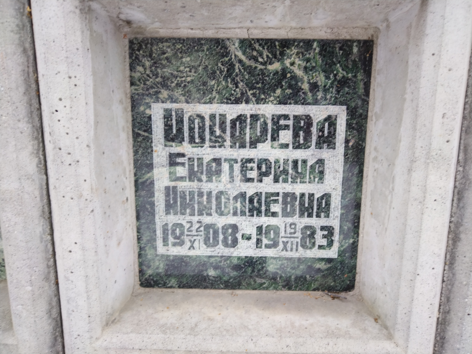 Кокарева Екатерина Николаевна