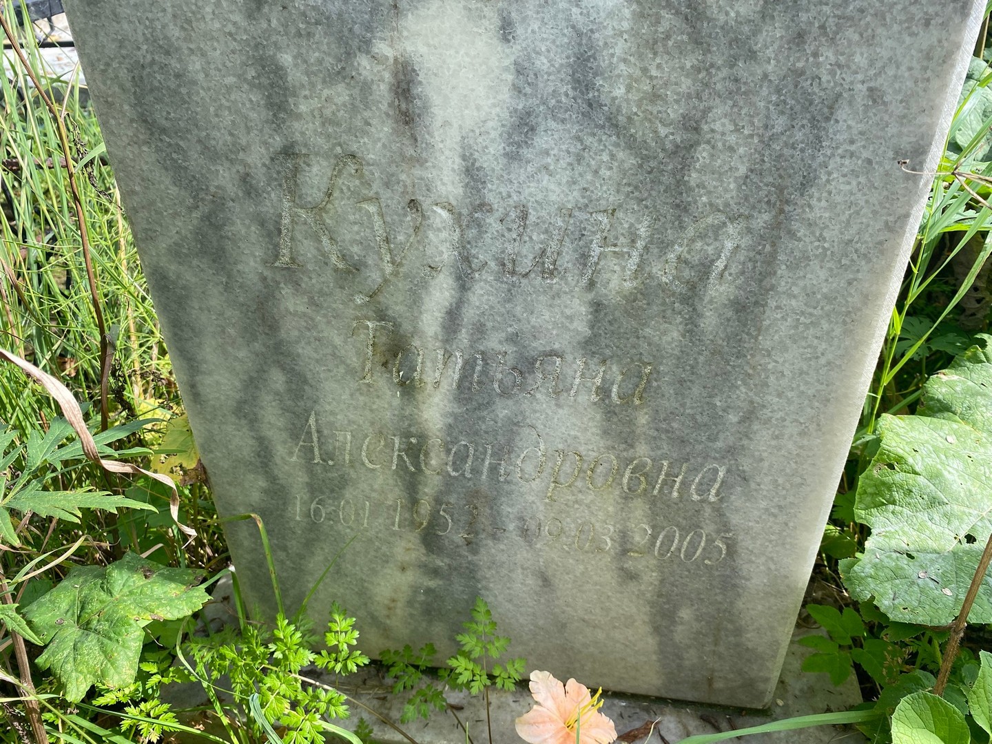 Кухина