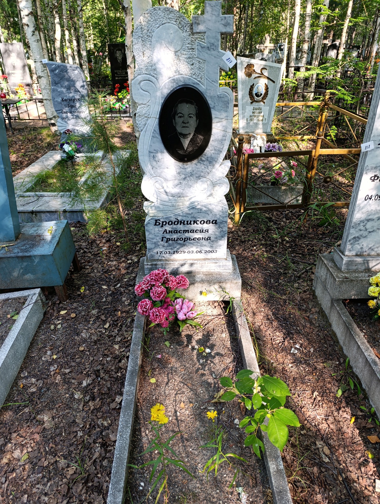 Бродникова Анастасия Григорьевна