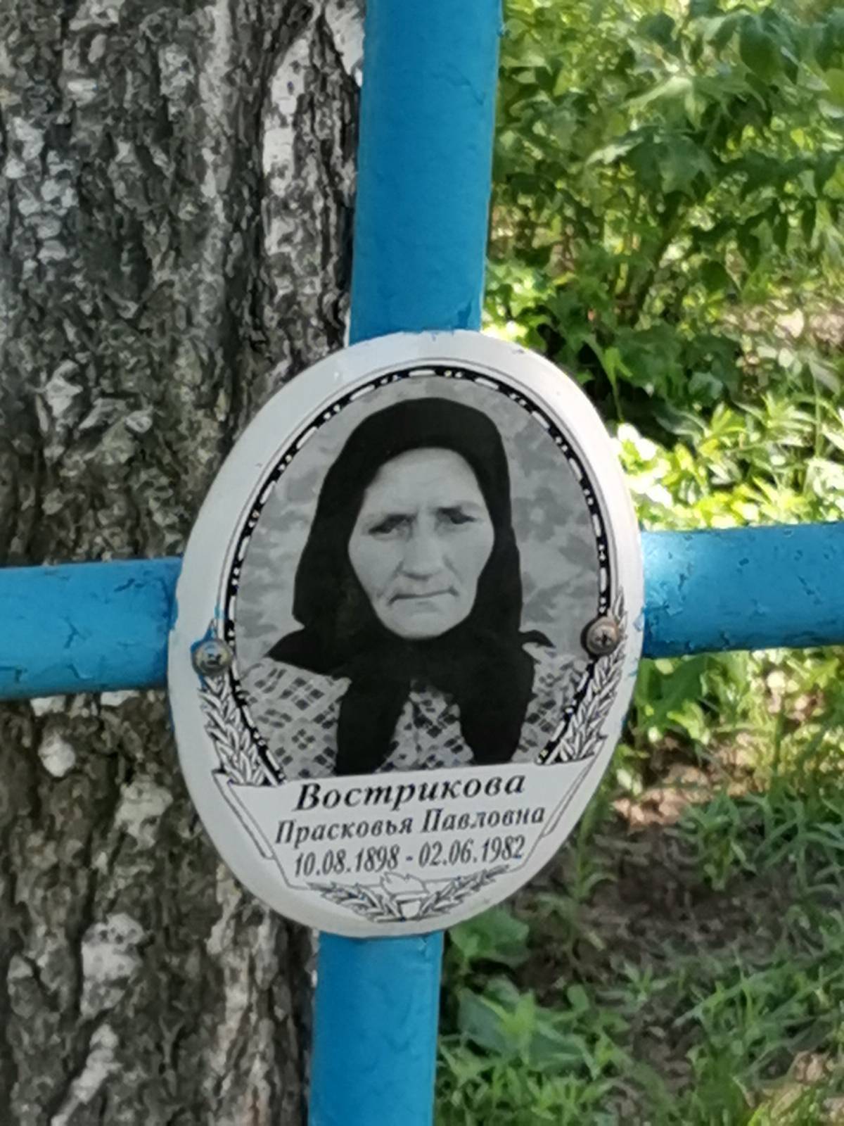 Вострикова Прасковья Павловна