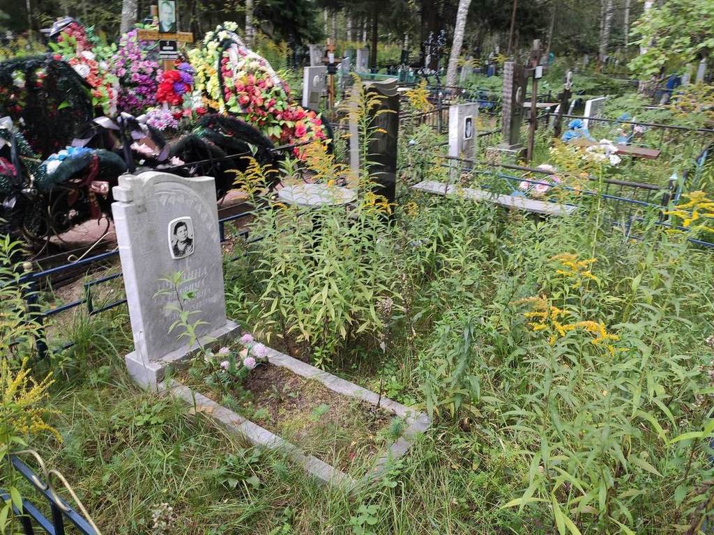 Пчелин Александр Николаевич