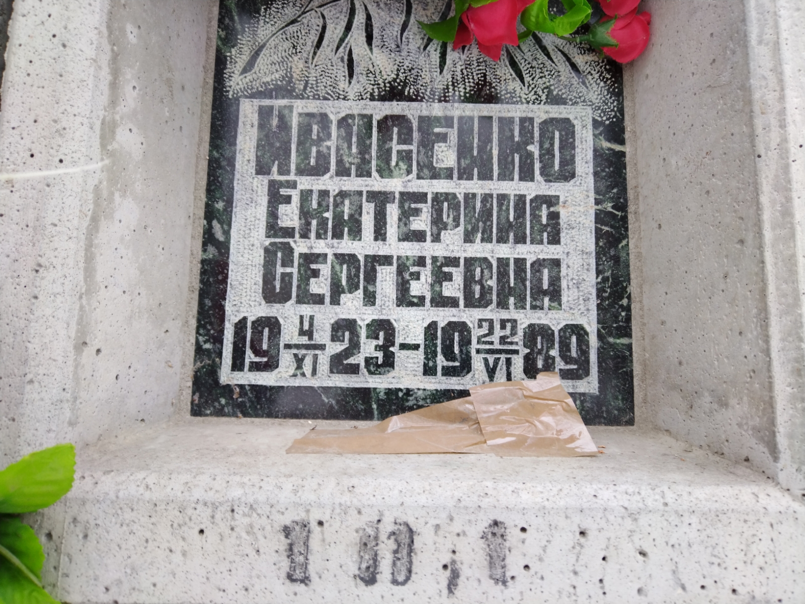 Ивасенко Екатерина Сергеевна