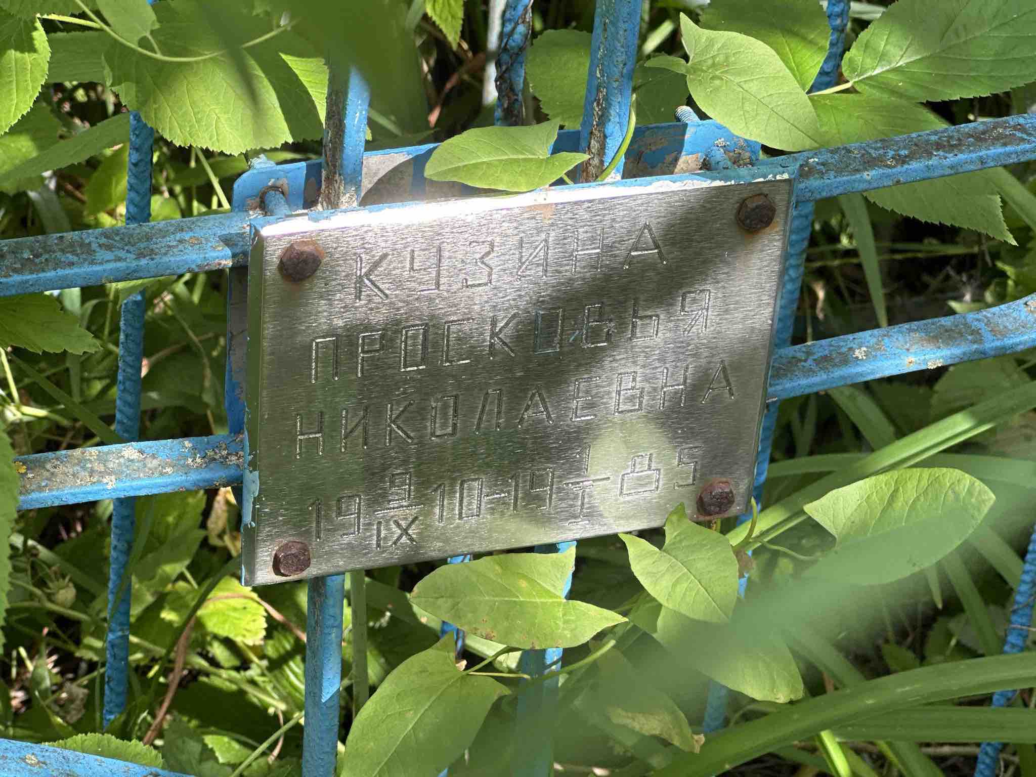 Кузина Просковья Николаевна
