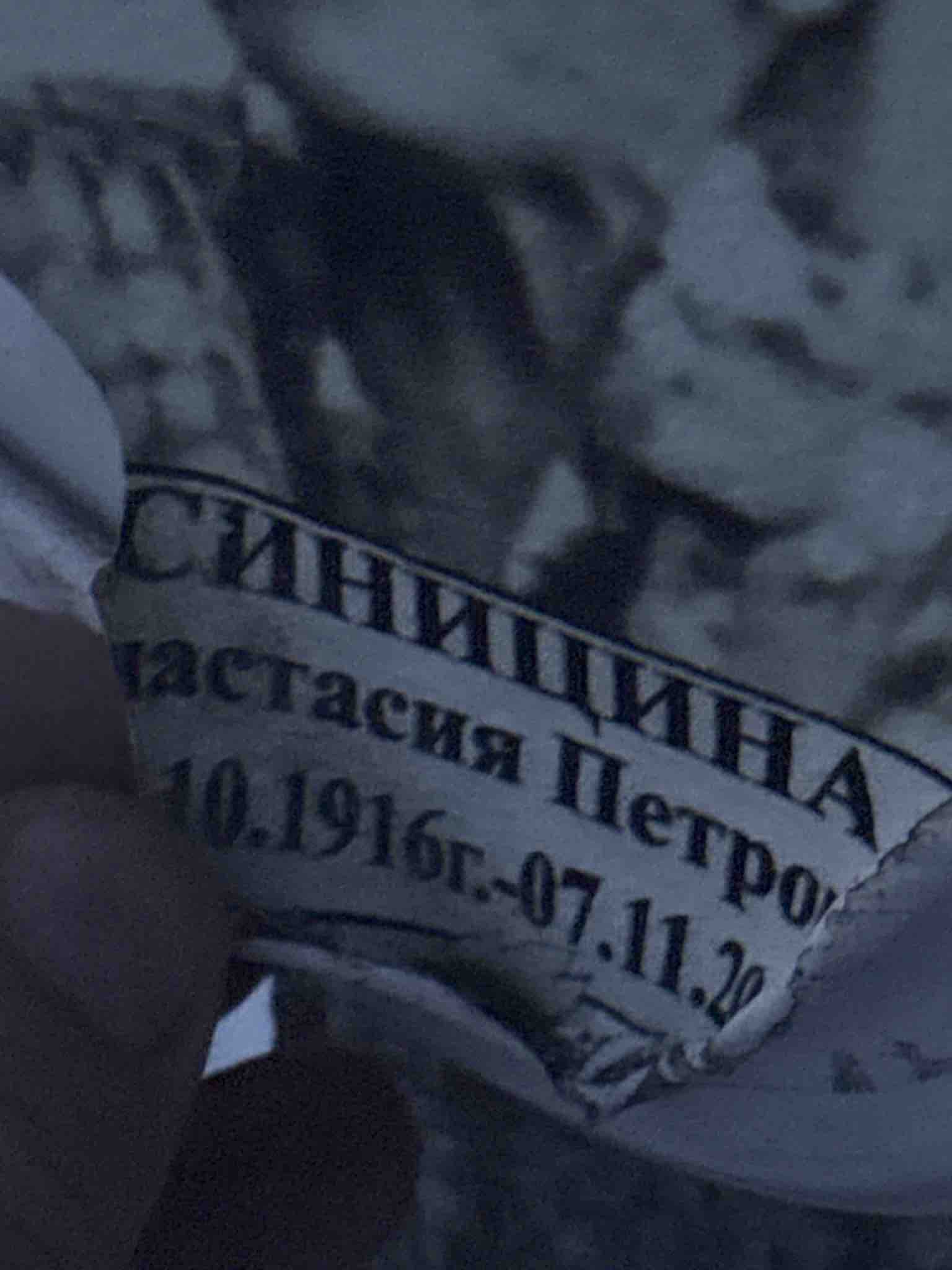 Синицына Анастасия Петровна