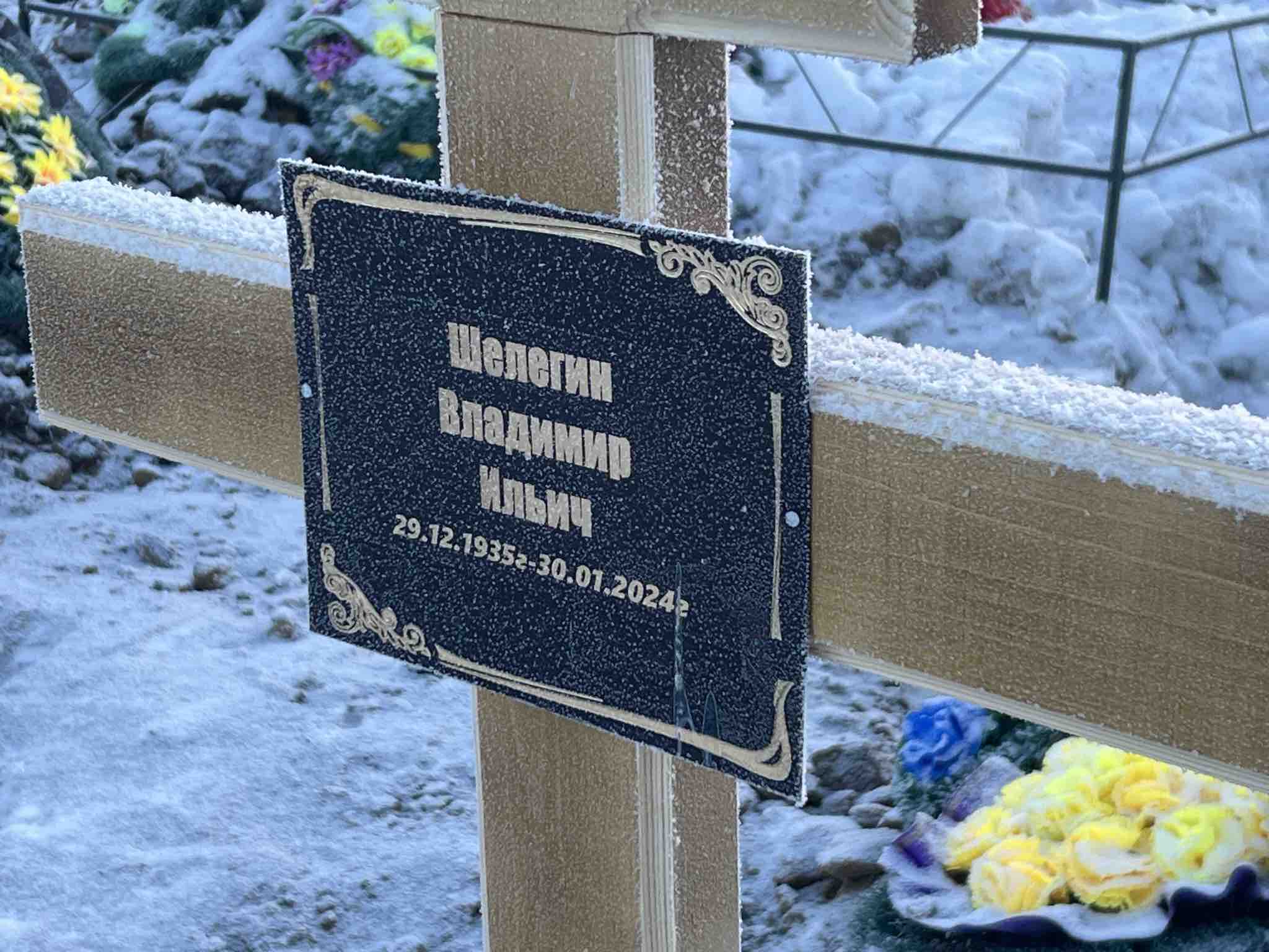 Шелегин Владимир Ильич