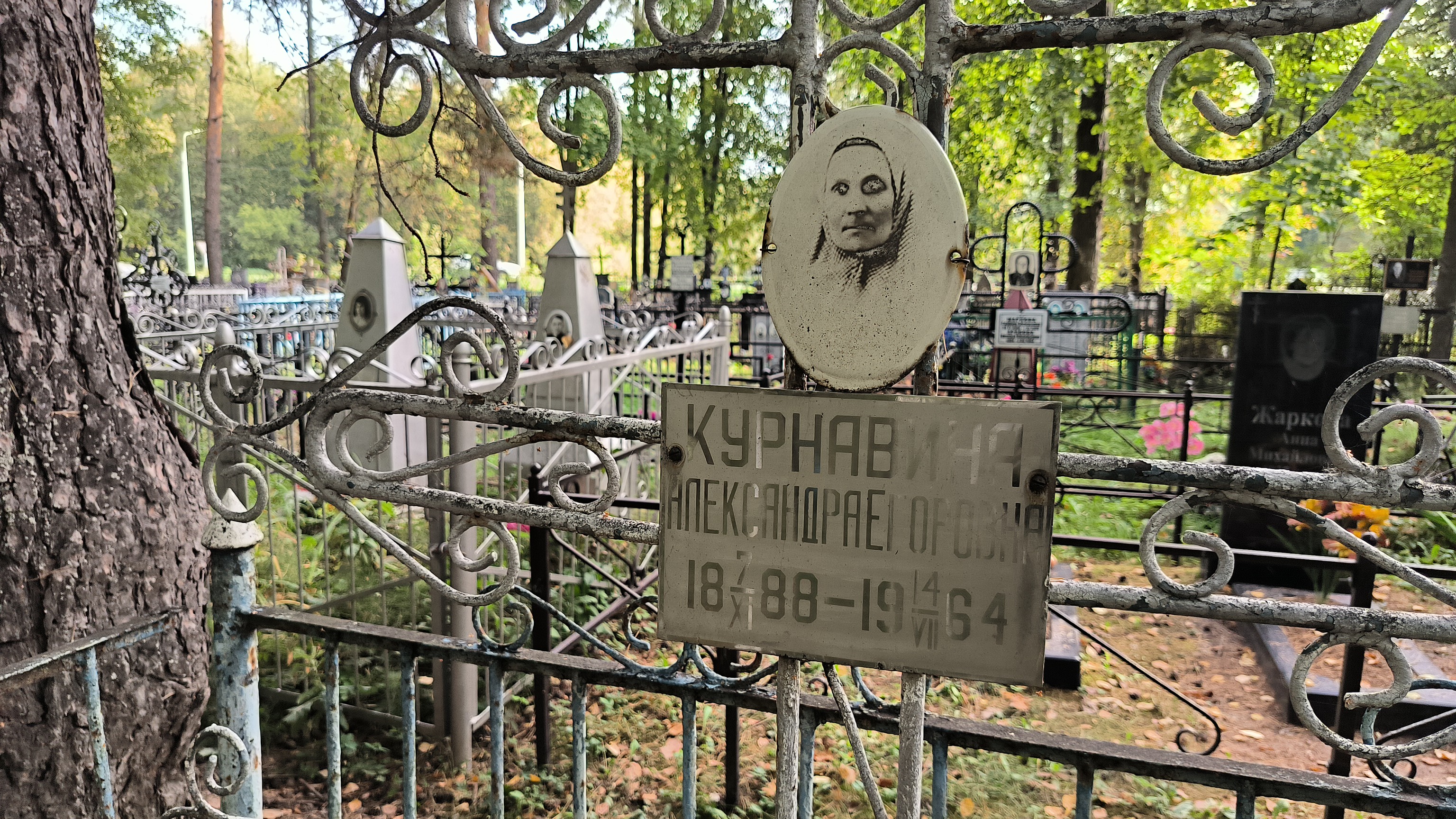 Курнавина Александра Егоровна