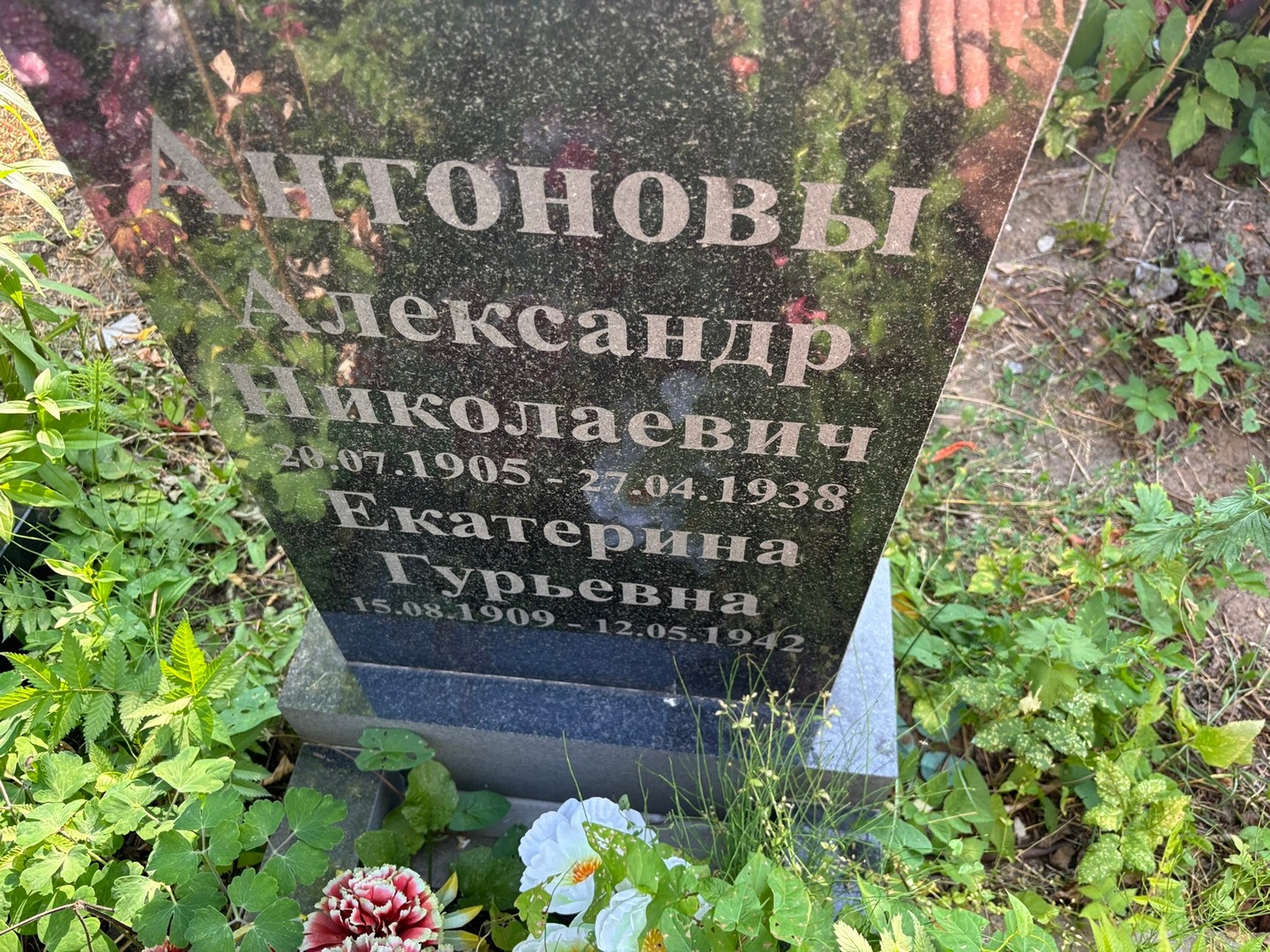 Антонов