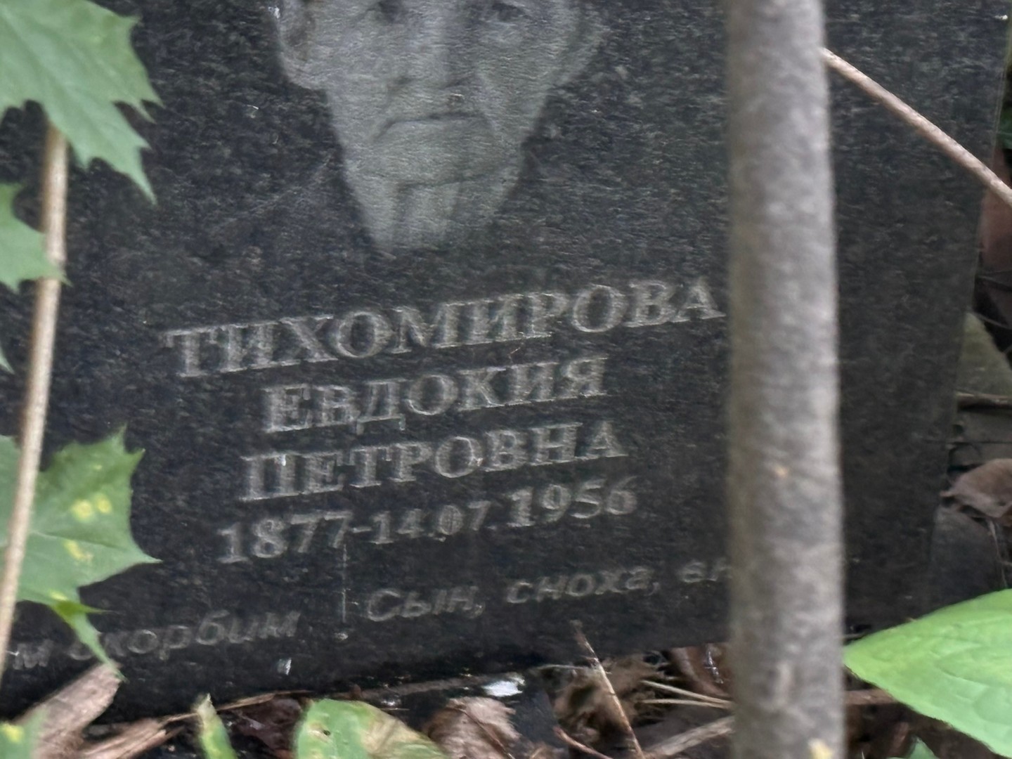 Тихомирова