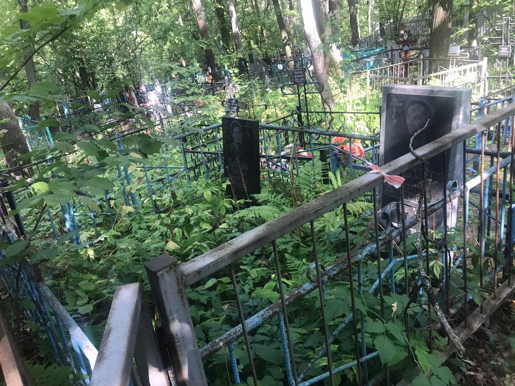 Сыпалова Надежда Андреевна
