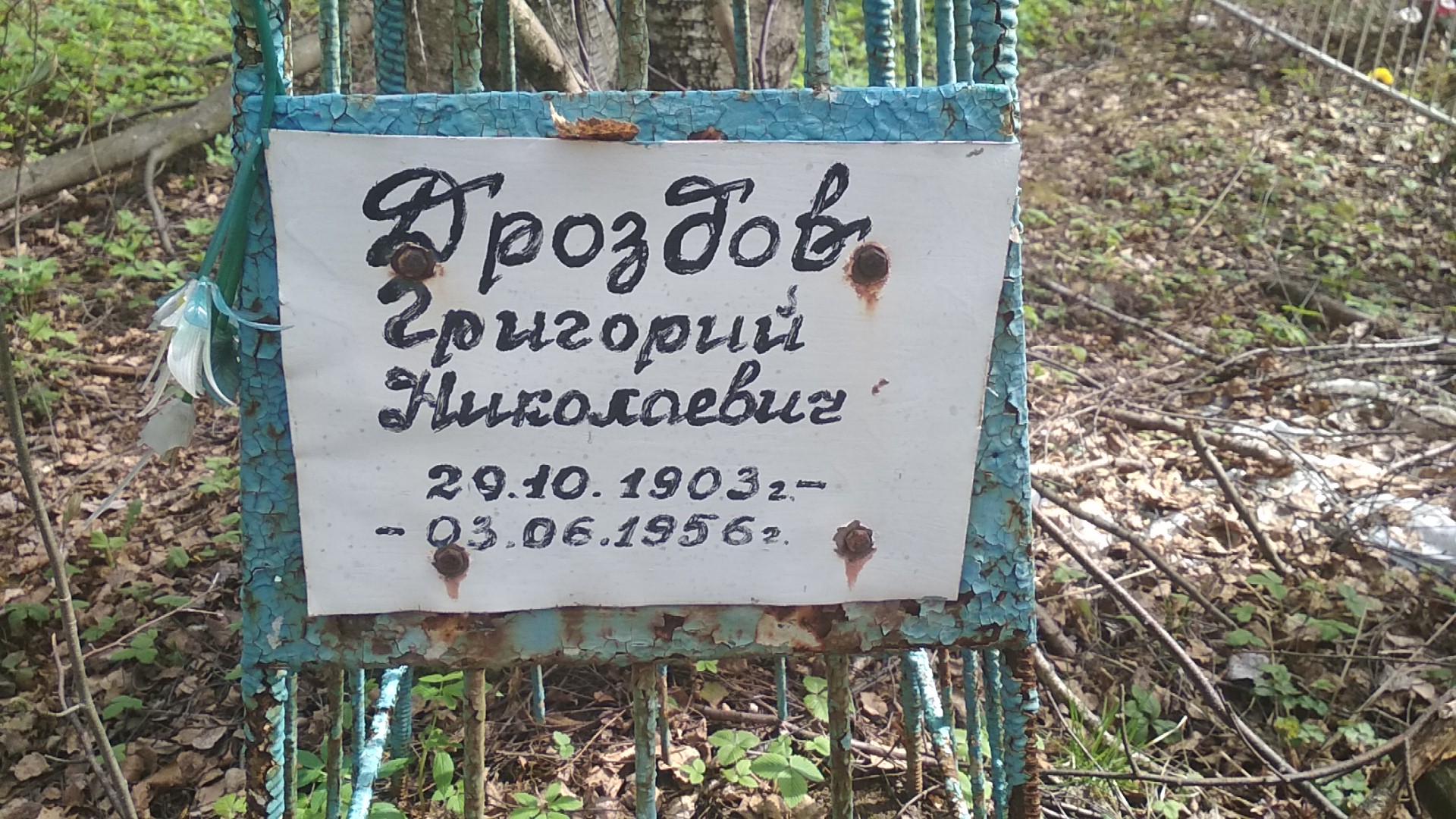 Дроздов Григорий Николаевич