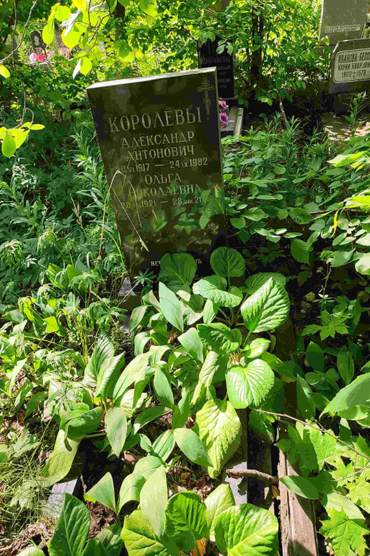 Королева Ольга Николаевна