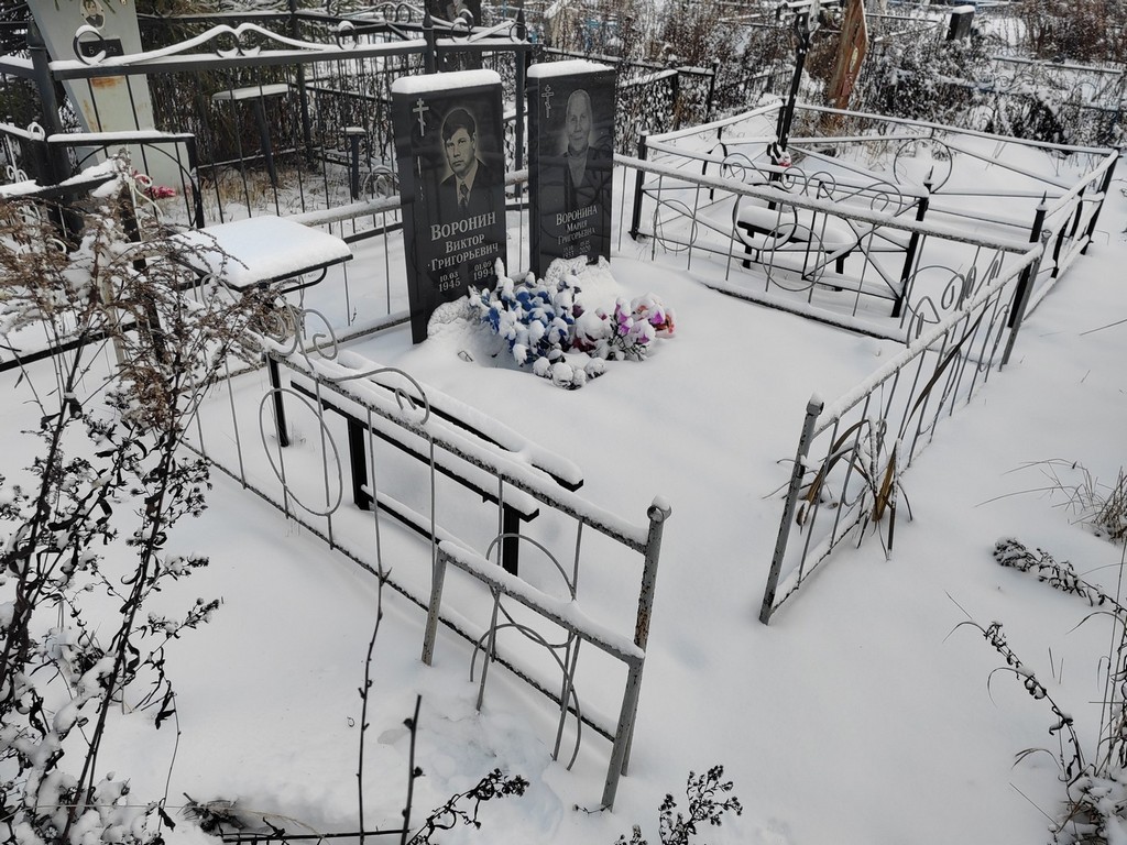 Воронин Виктор Григорьевич