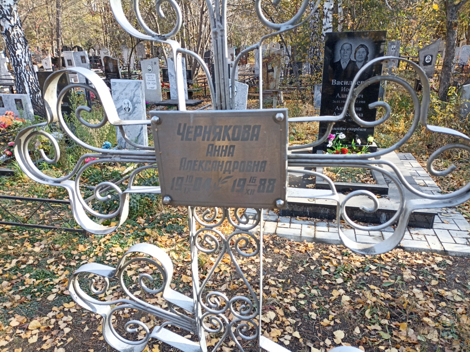 Чернякова Анна Александровна
