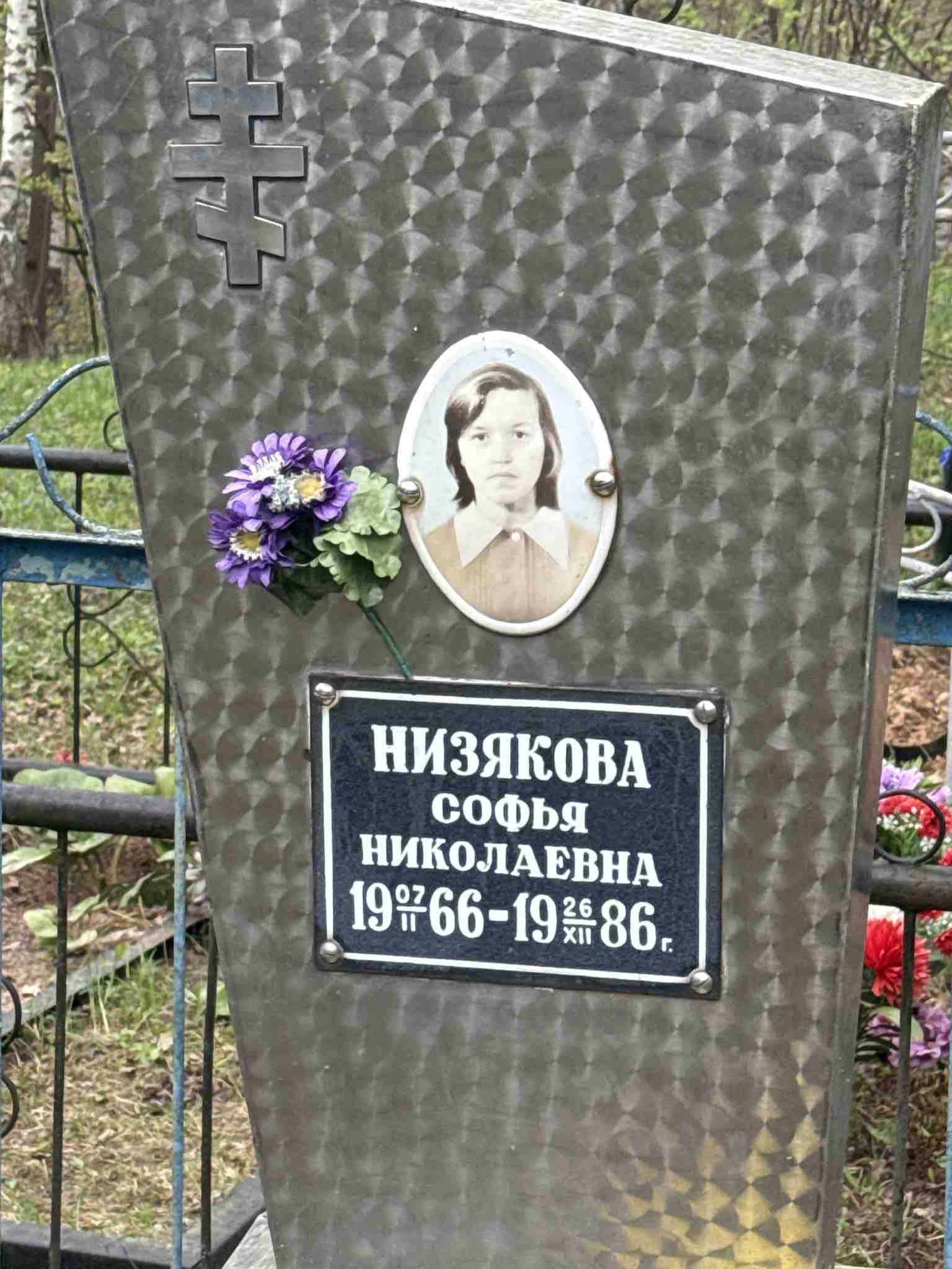 Низякова Софья Николаевна