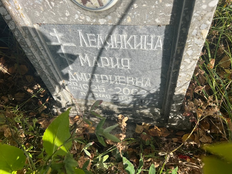 Ледянкина