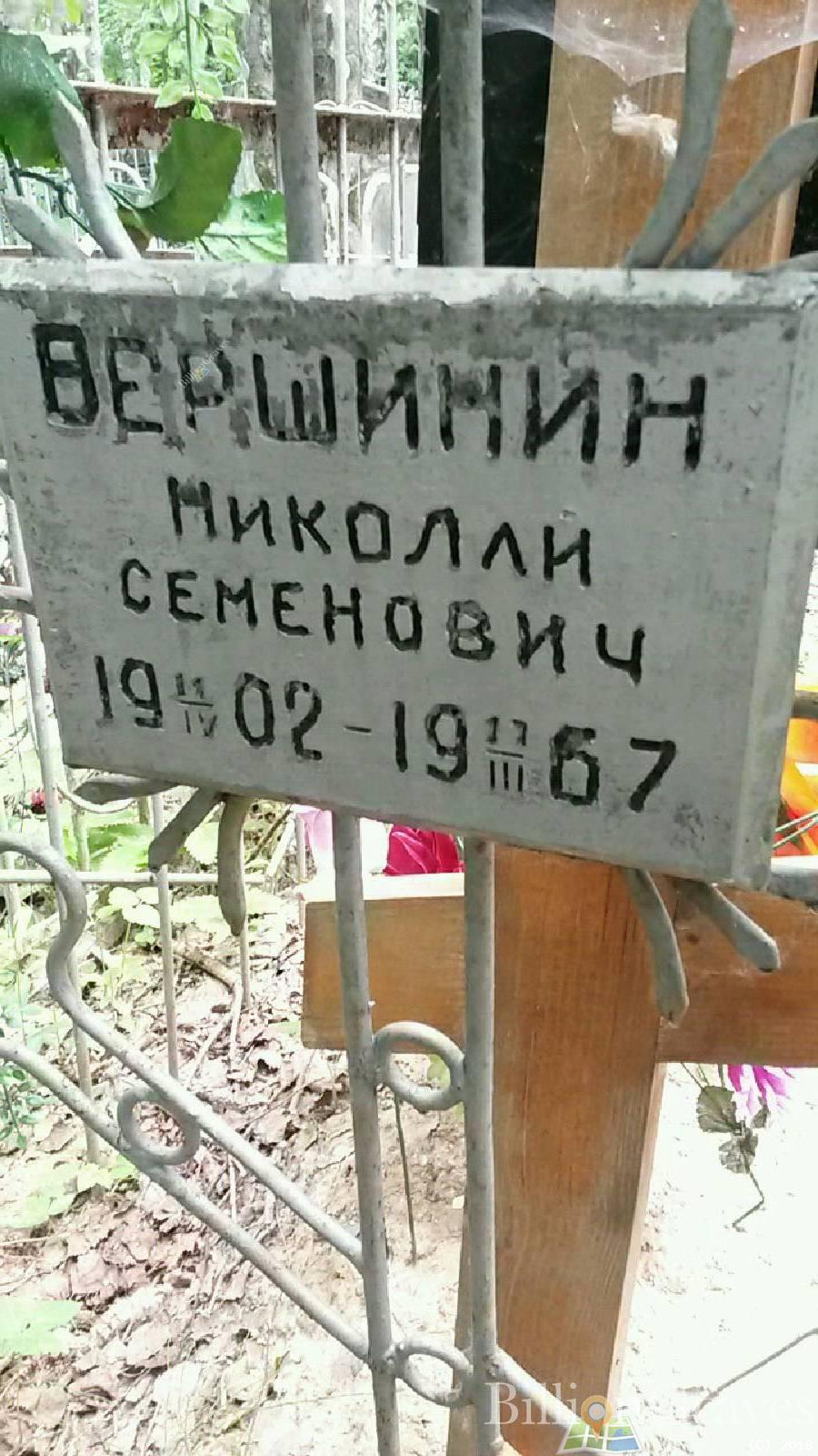 Вершинин Александр Николаевич