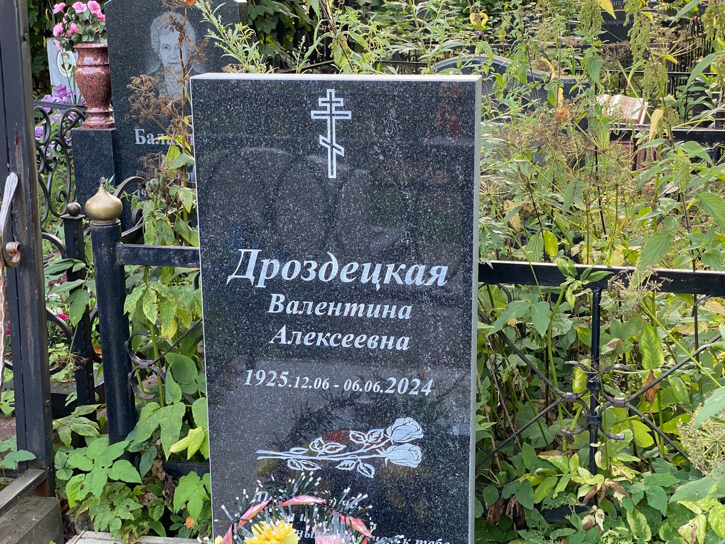 Дроздецкая