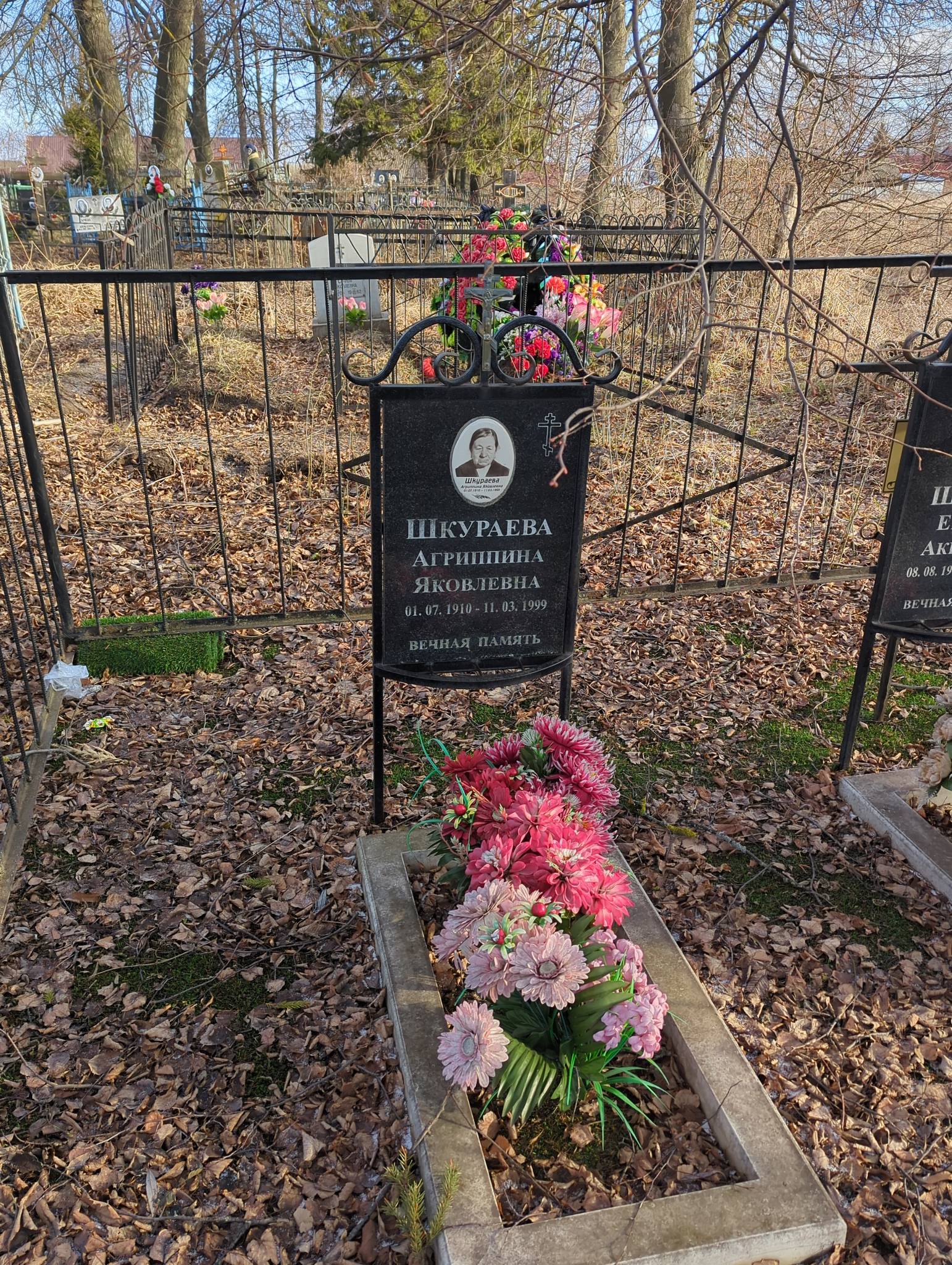 Шкураева Агриппина Яковлевна