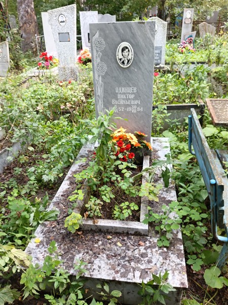 Одинцев Виктор Васильевич