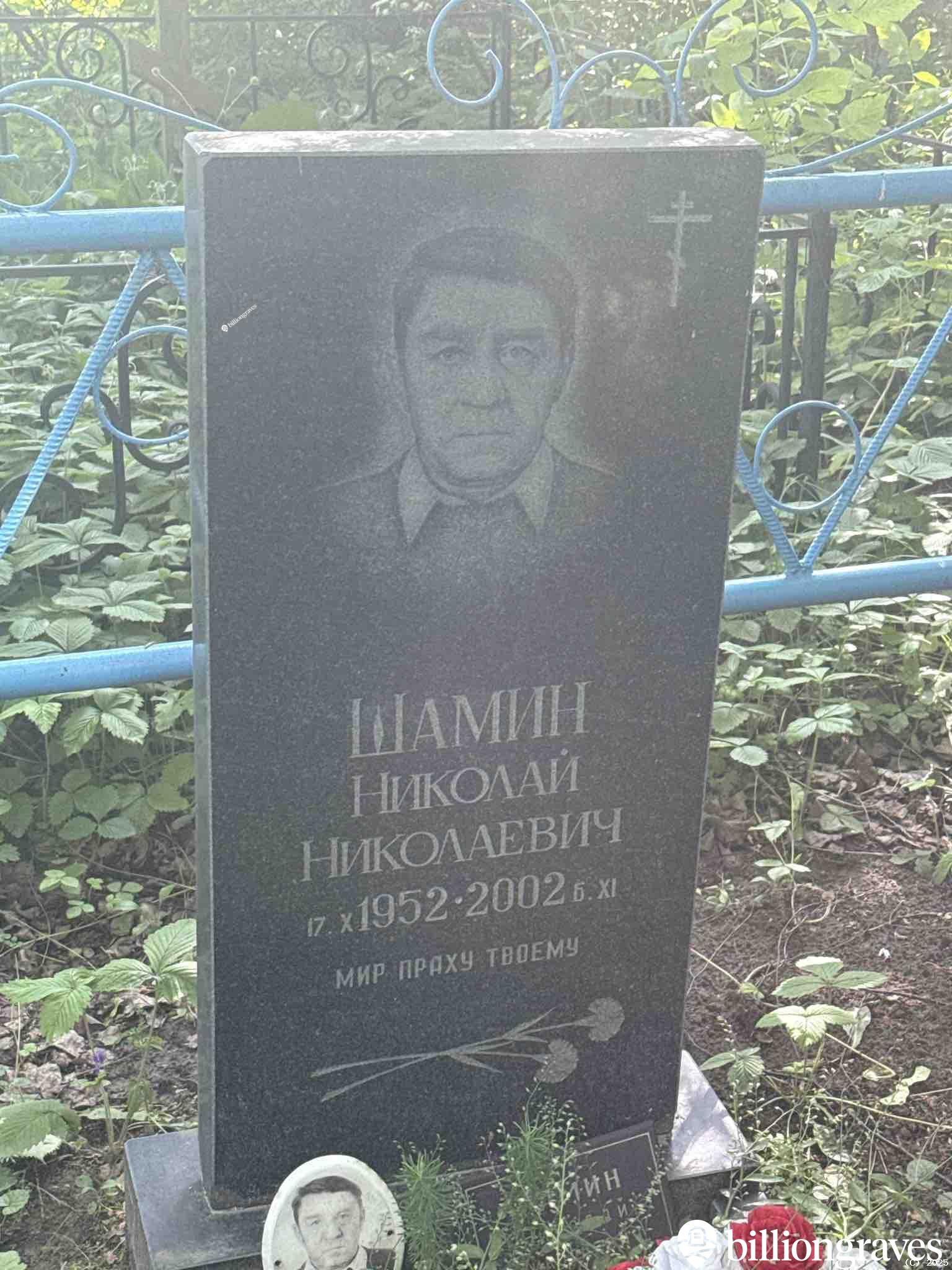Шамин Николай Николаевич