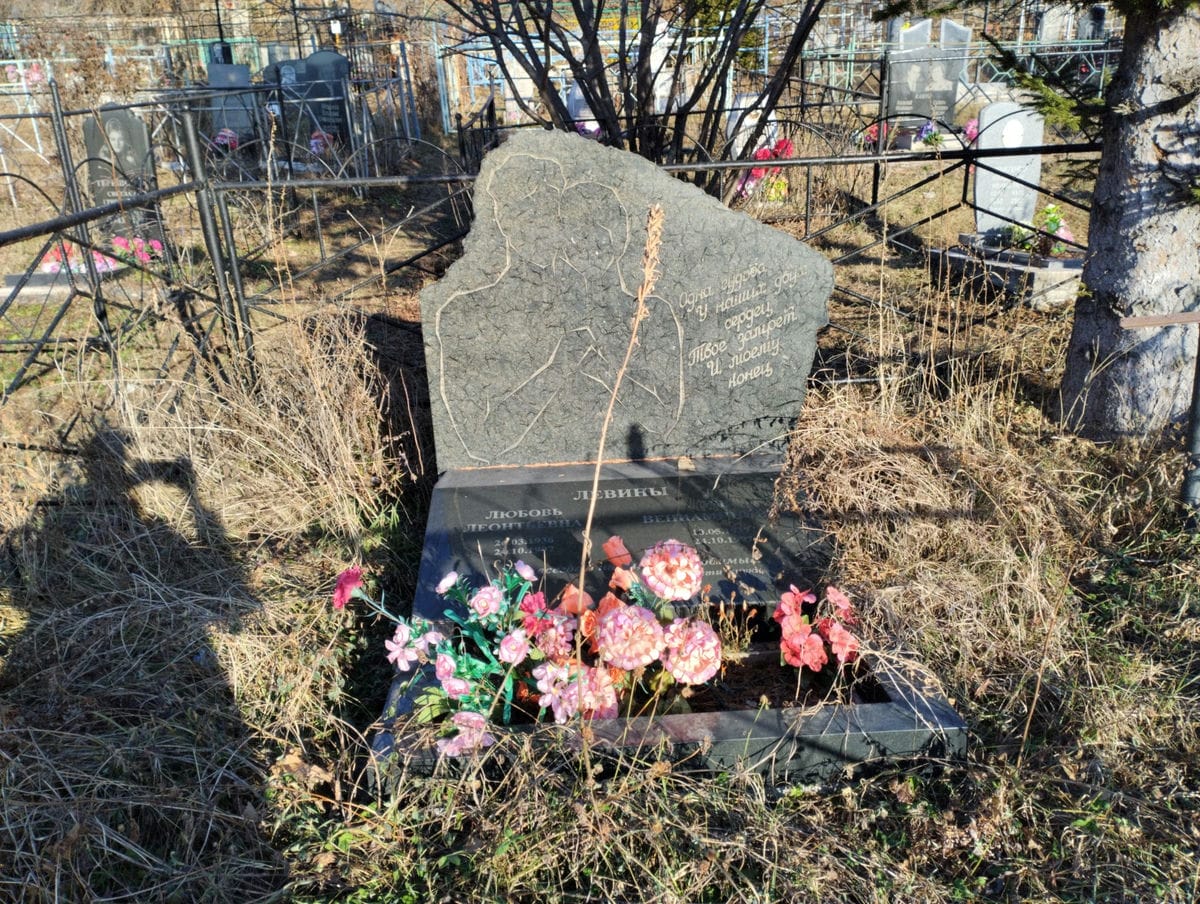 Левин Лев Вениаминович