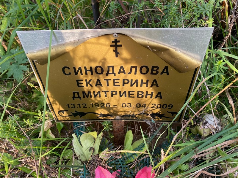 Синодалова