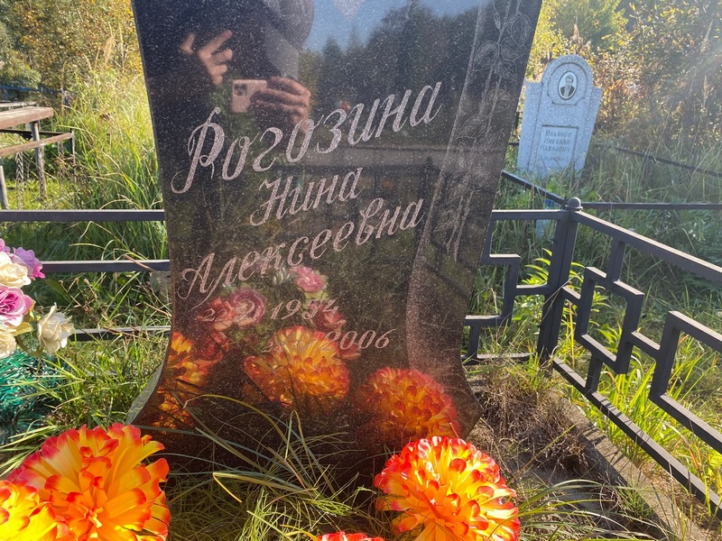 Рогозина