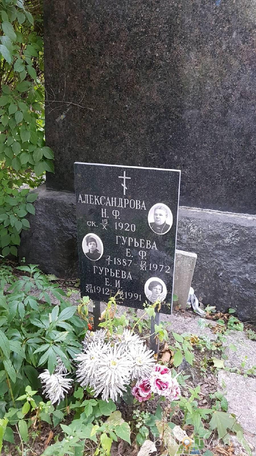 Гурьева Е. Ф.