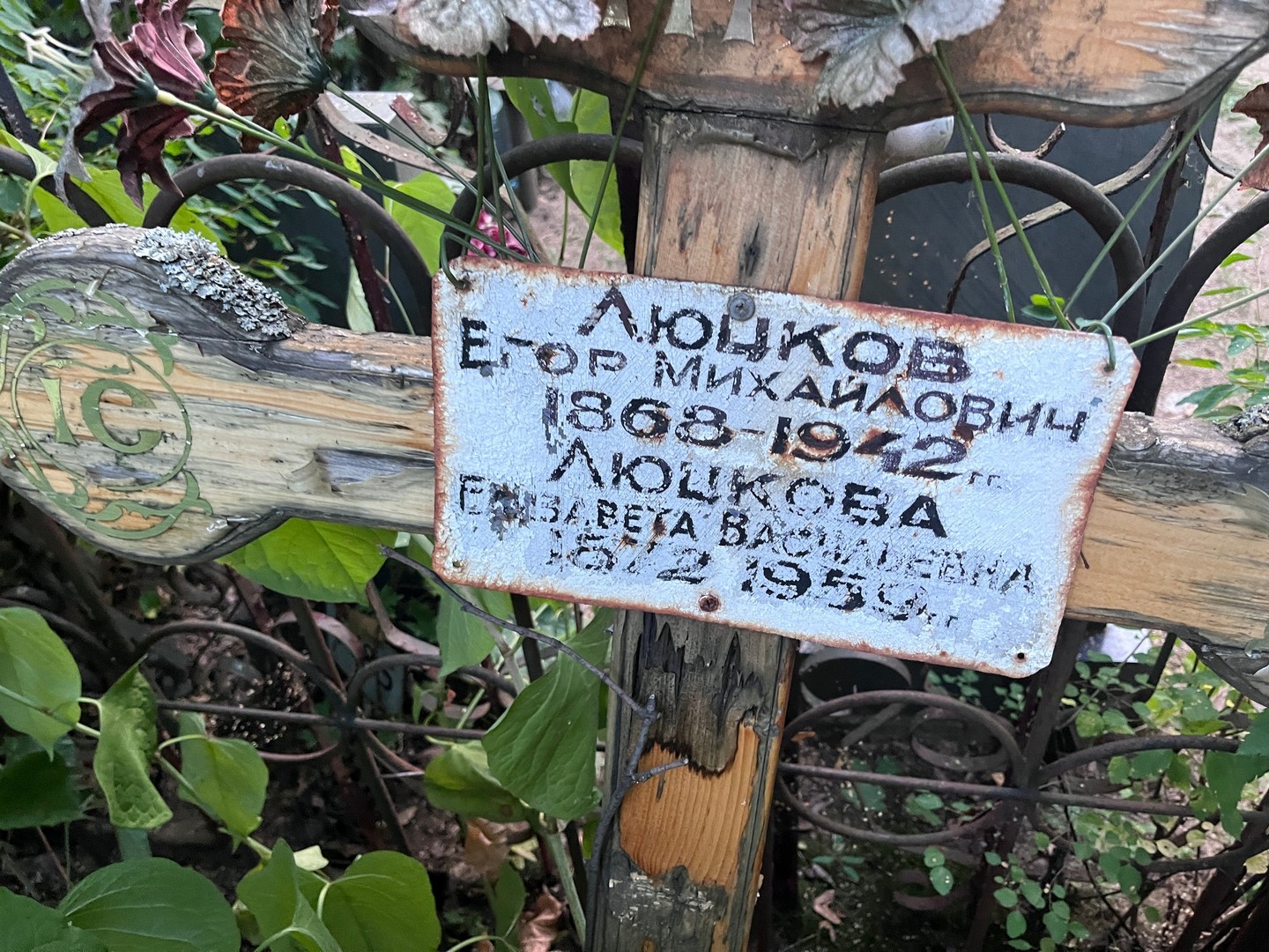 Люцков Егор Михайлович