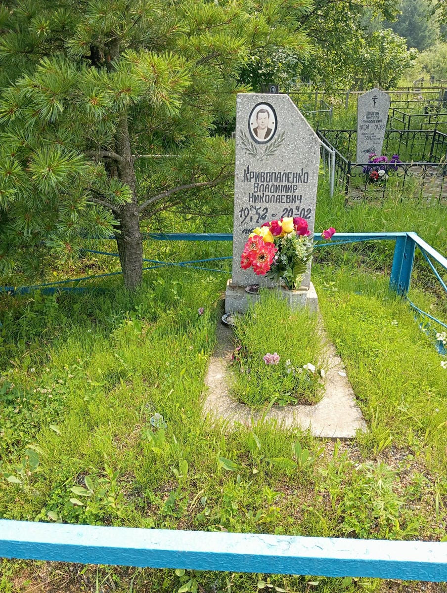 Кривопаленко Владимир Николаевич