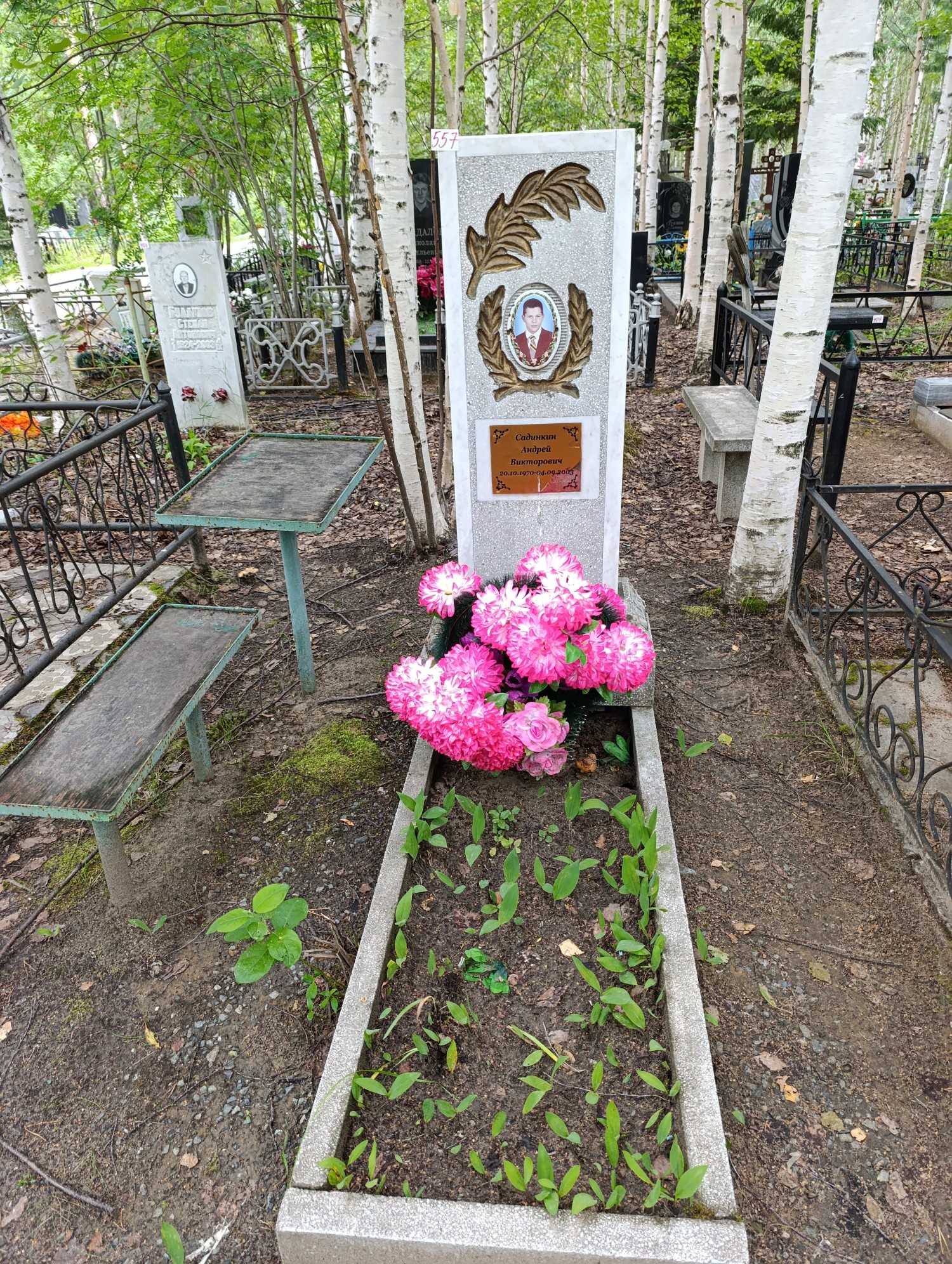 Садинкин Андрей Викторович