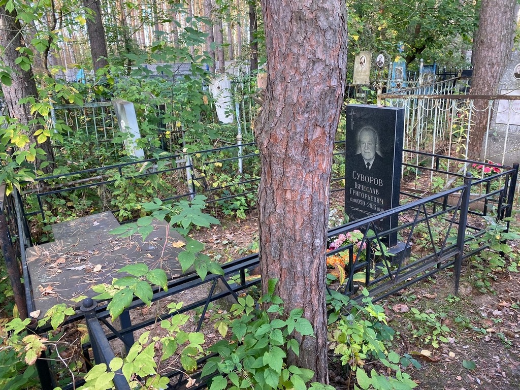Суворов Вячеслав Григорьевич
