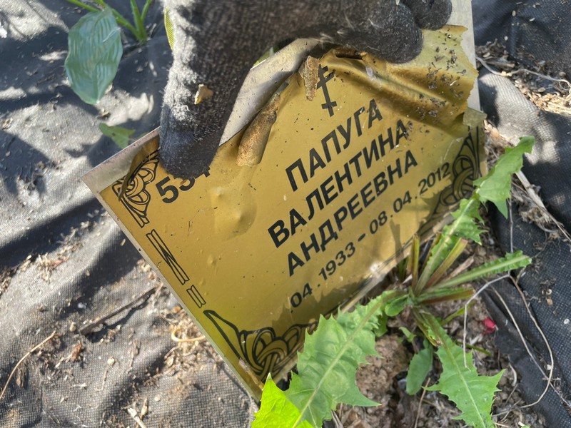 Папуга