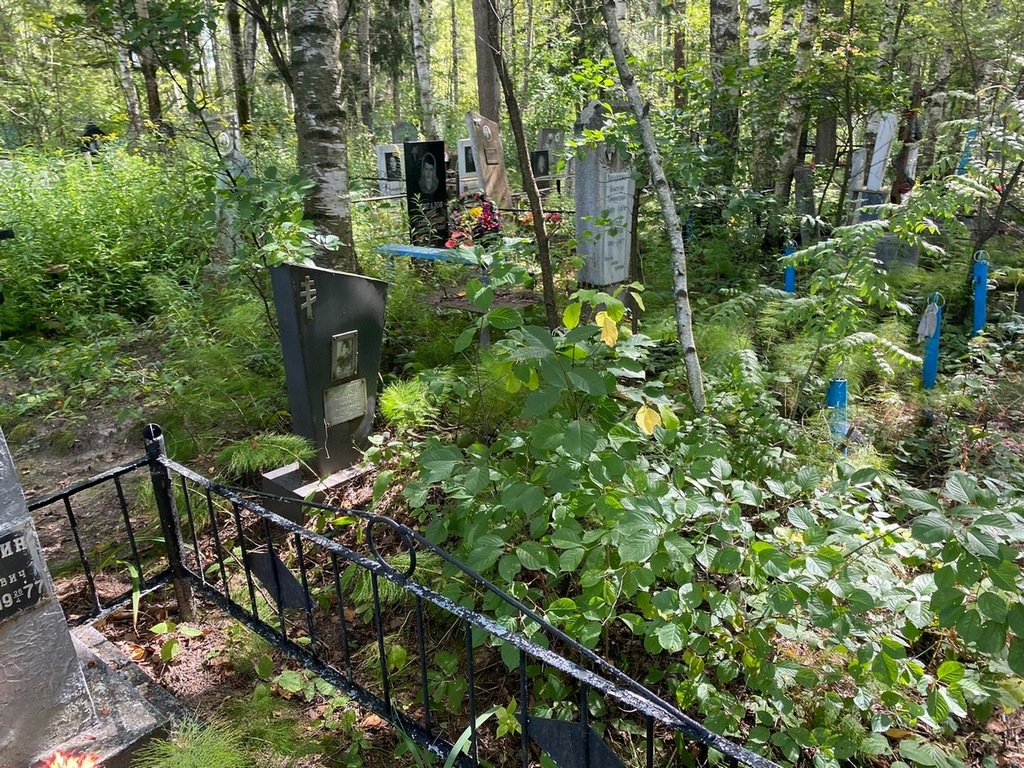 Николаева Ольга Николаевна